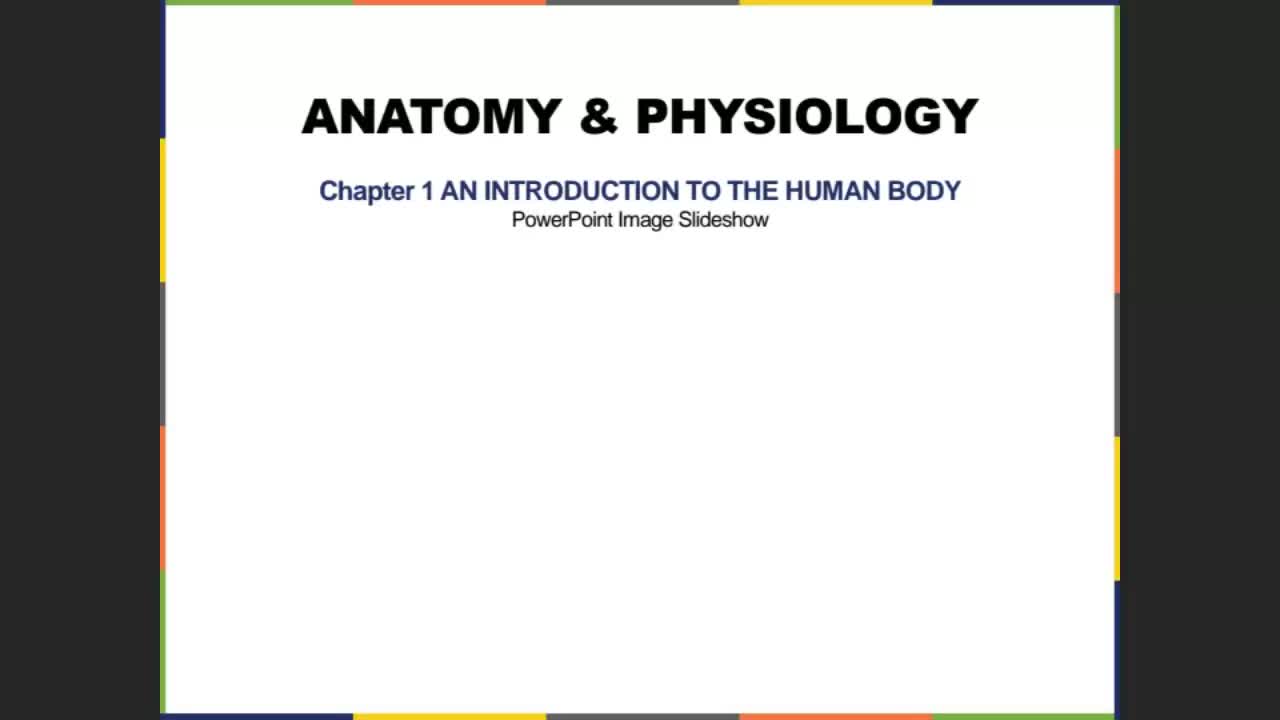 Chapter 1 Lecture | Lumina Media Player